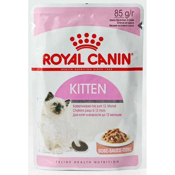 Royal Canin Futter für Kätzchen