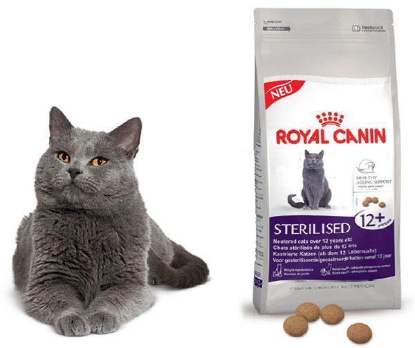 cibo per gatti royal canin