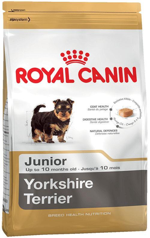 tørrfôr til unge Yorkshire Terrier-hunder