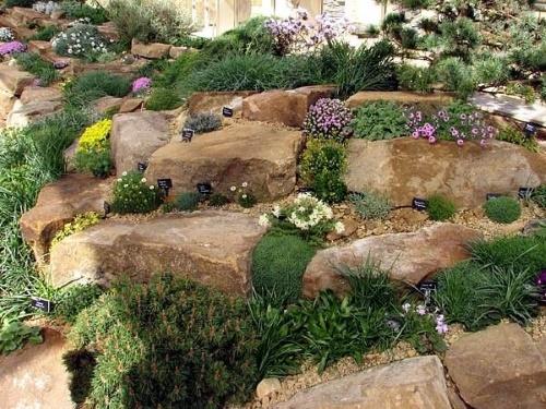 jardim de pedras com flores