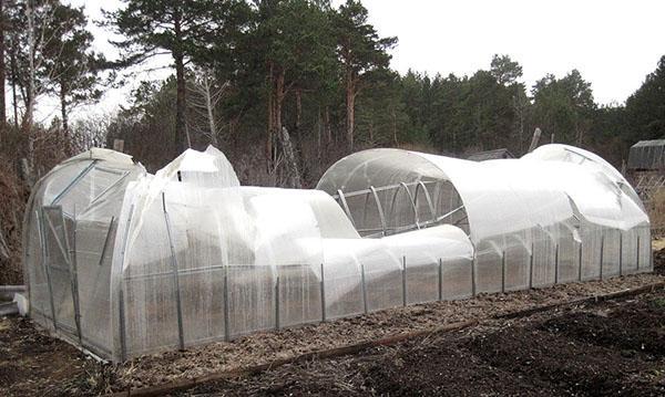 naghahanda ng greenhouse para sa bagong panahon