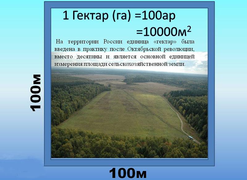 използване на термина хектар в Русия