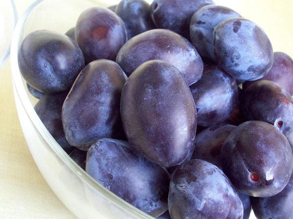 prunes madures mitjanes per a melmelada
