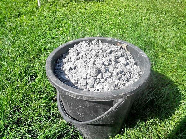 ash as fertilizer for plants