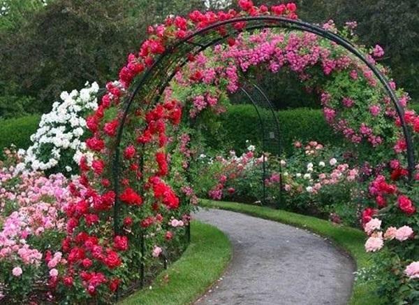 arco del giardino