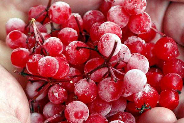 frozen berries have no bitterness