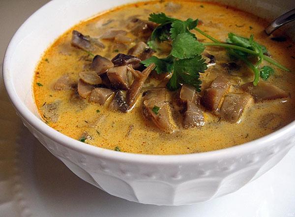 aromatische gezonde soep gemaakt van bevroren champignons