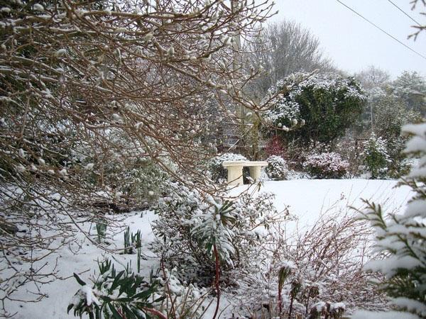 en trädgård under ett lager av snö