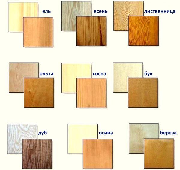 tipuri de lemn