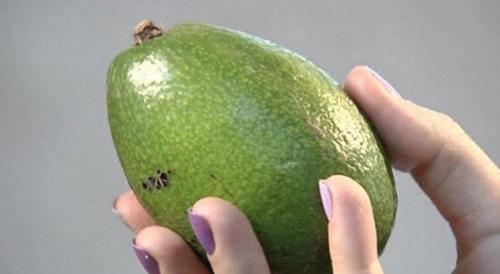 зелено авокадо