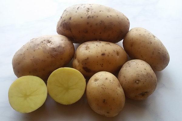 Gala potatoes