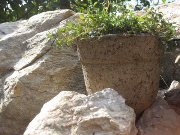 einfacher Pflanzer aus Zement