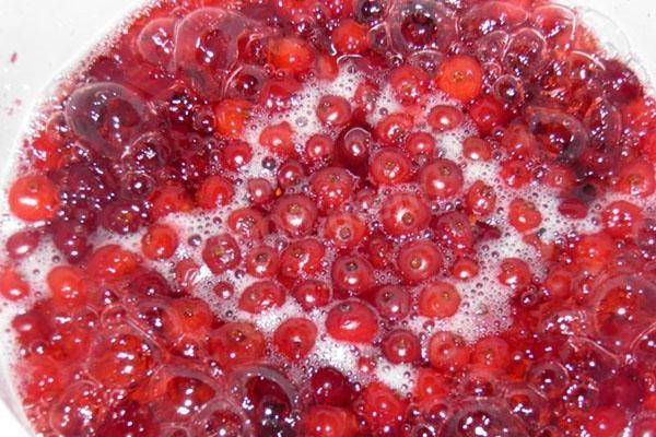 kisar cranberry dengan gula