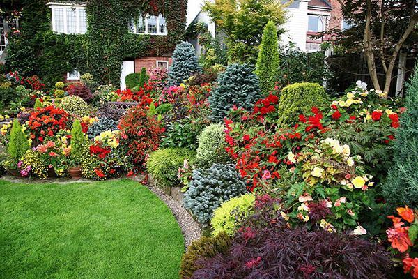 giardino fiorito inglese