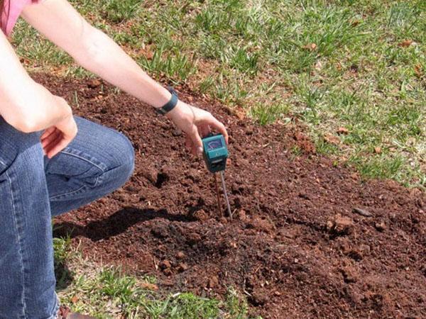 ellenőrizze a talaj savasságát