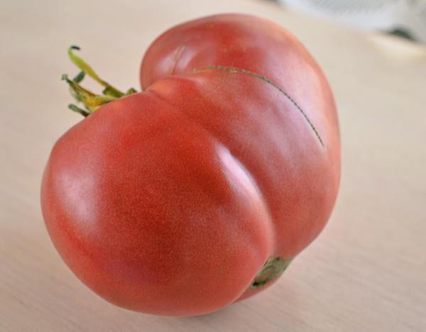 soczysty słodki pomidor