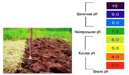 how to determine the acidity of the soil