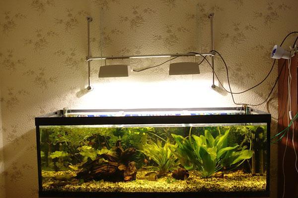 светлина за растения в аквариума