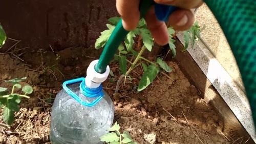 irrigation goutte à goutte à partir de bouteilles