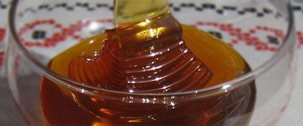coriander honey