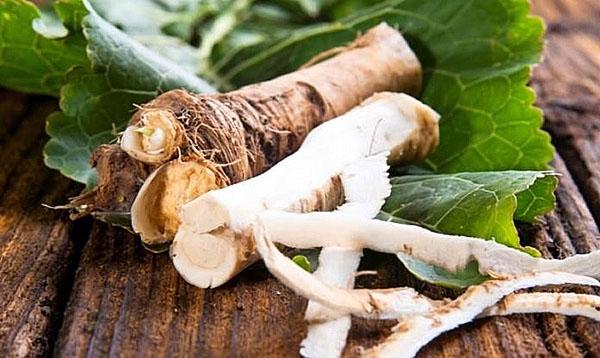 what is horseradish good for health