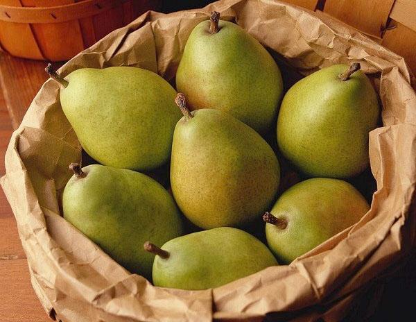 fördelar och skador på päron