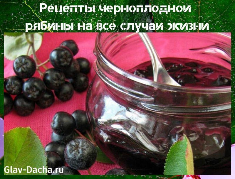 chokeberry recipes