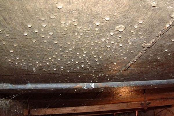 condensation in the basement