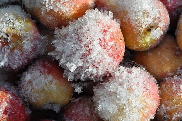 saldēšanas āboli ziemai