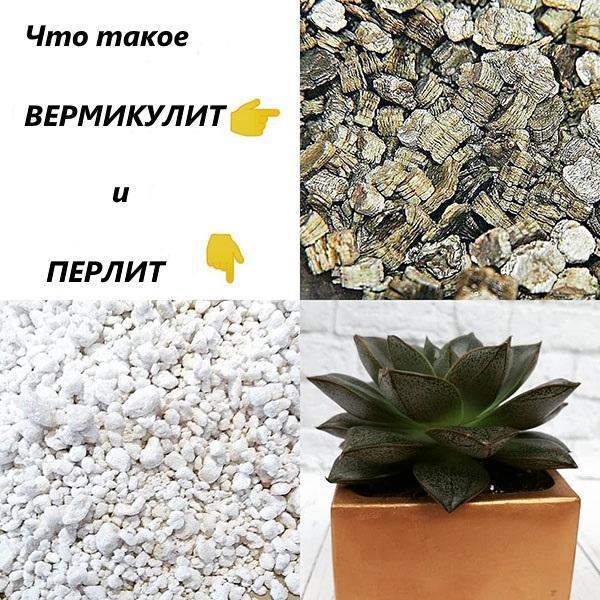 hvad er forskellen mellem perlit og vermiculit