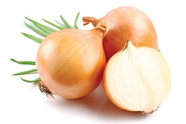 useful properties of onions