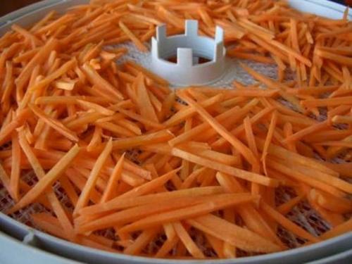 drying carrots