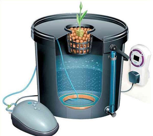 hydroponics system