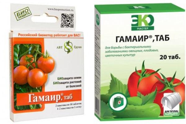 gamair contra doenças do tomate
