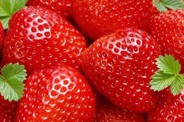 Was ist gut für Erdbeeren