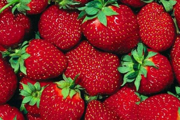 strawberi mempunyai banyak vitamin C