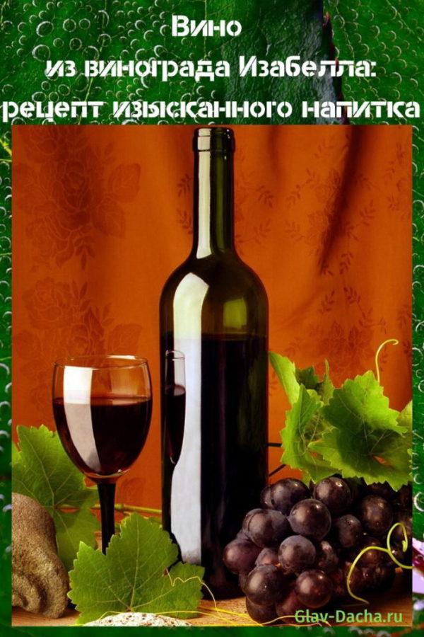 „Isabella“ vynuogių vyno receptas