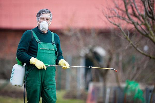 ošetrenie záhrady insekticídmi