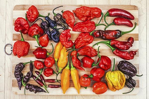 chili peppers of different varieties