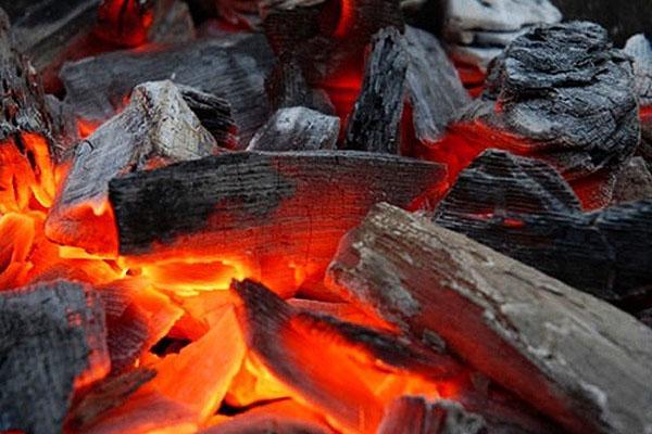 carbone di legna come fertilizzante per il giardino