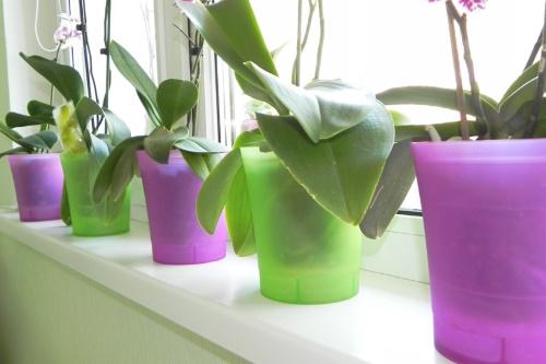 plastové květináče na orchideje