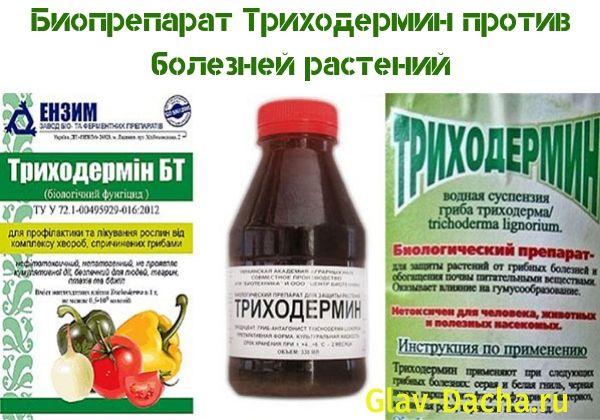 biological product Trichodermin