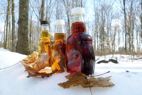 which maple is sap