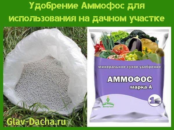 fertilizante amofos para chalés de verão