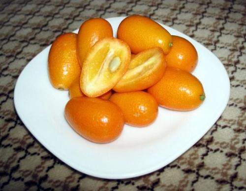 může kumquat vyvolat cystitidu