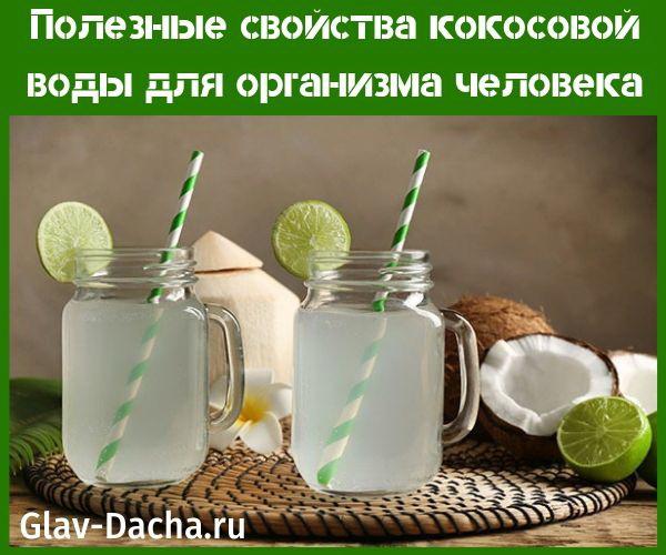 полезни свойства на кокосовата вода