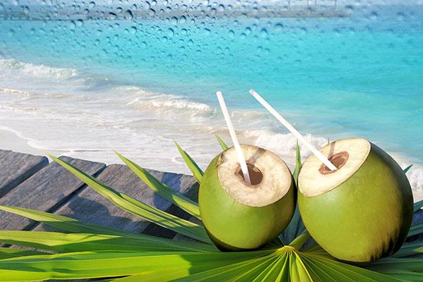 kokosnødsvand med lavt kalorieindhold