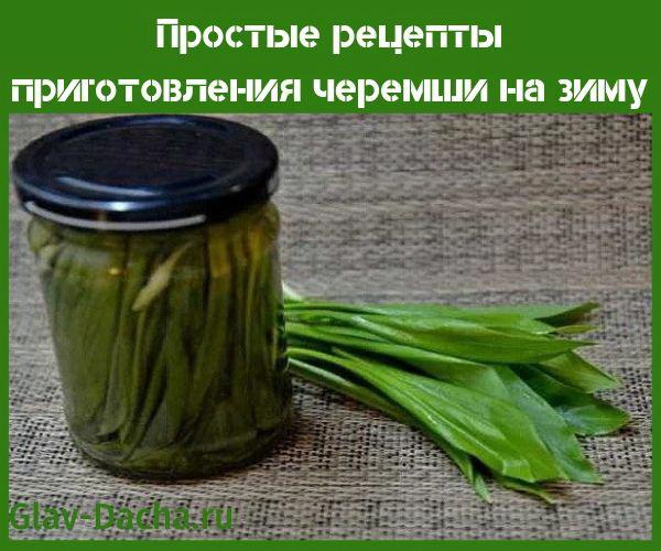 recipes for cooking wild garlic for the winter