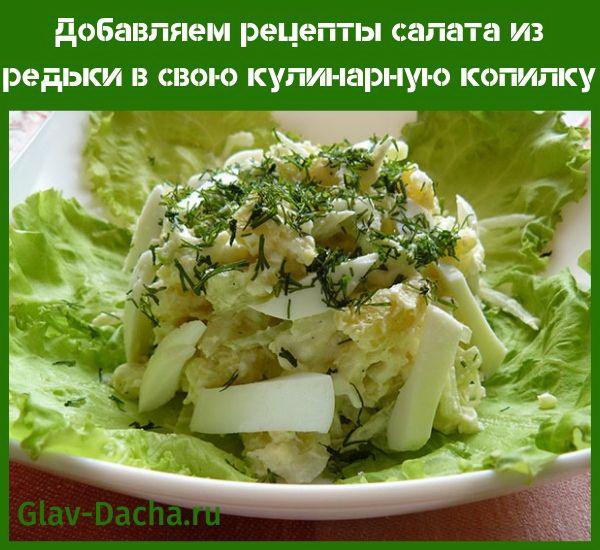 rețete de salată de ridiche