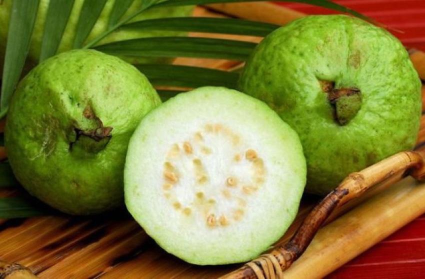 frutto di guava
